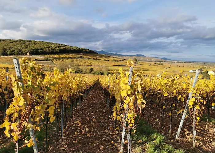 Casa de Férias La Grange De Louis Turckheim